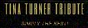 Tina Turner Tribute logo